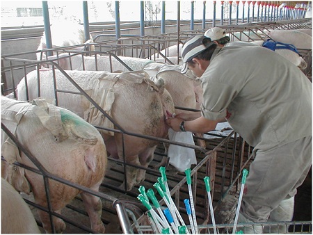 inseminacion art